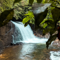 Duwili Ella Falls in Kalawana
