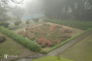 Hakgala-Botanic-Gardens-FootSteps-Nuwara-Eliya