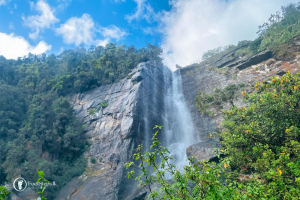 Lovers-Leap-Waterfall-FootSteps-Nuwara-Eliya