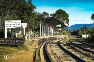 Pattipola-Train-Station-FootSteps-Nuwara-Eliya