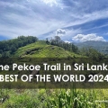 Best of the World The Pekoe Trail Sri Lanka Footsteps Travel