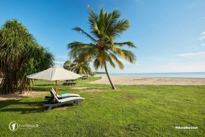Coconut Tree and Sunbed at Passikuda Beach, Best Beaches in Sri Lanka