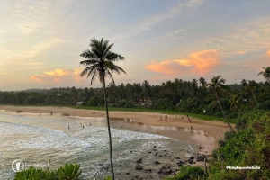 Amazing View of Talalla Beach, Best Beaches in Sri Lanka